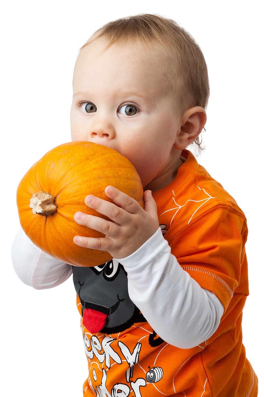 toddler, bite, pumpkin, autumn, baby, boy, child, cute, face, fall