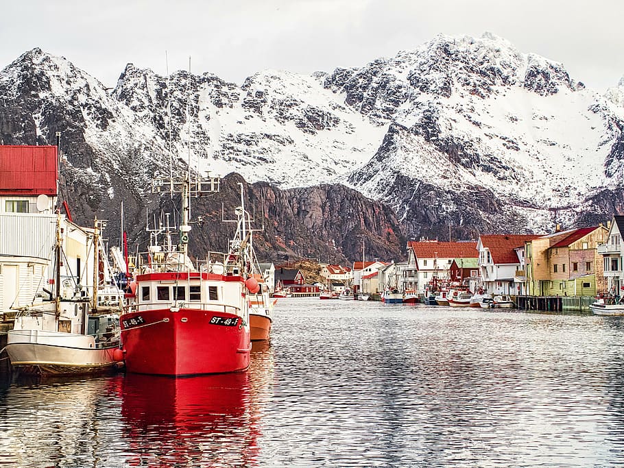 bote, cuerpo, agua, nevado, vista a la montaña, henningsvaer, lofoten, noruega, puerto, montaña
