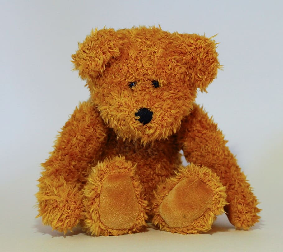 bear, teddy bear, toys, brown bear, stuffed toy, toy, studio shot, indoors, animal representation, childhood
