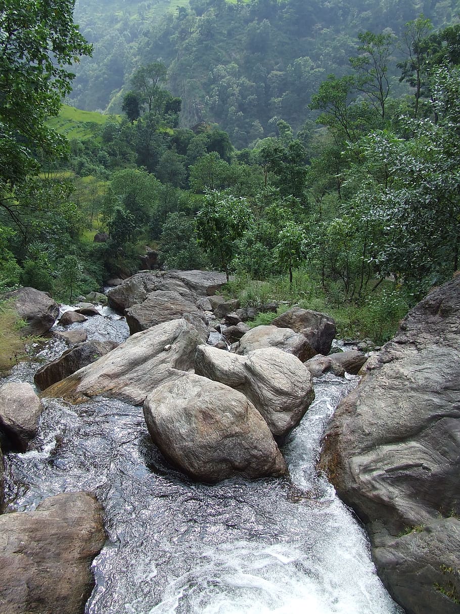 nepal, annapurna, trekking, rochas, pedras, água, rio, montanhas, floresta, planta