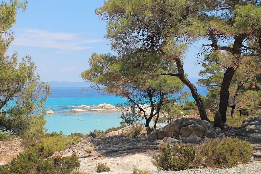 grécia, chalikidiki, sithonia, cassandra, turquesa, paraíso, árvores, praia, areia, mar