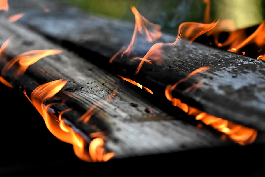 fire, flame, wood, charred, ash, brand, burn, heat, hot, light
