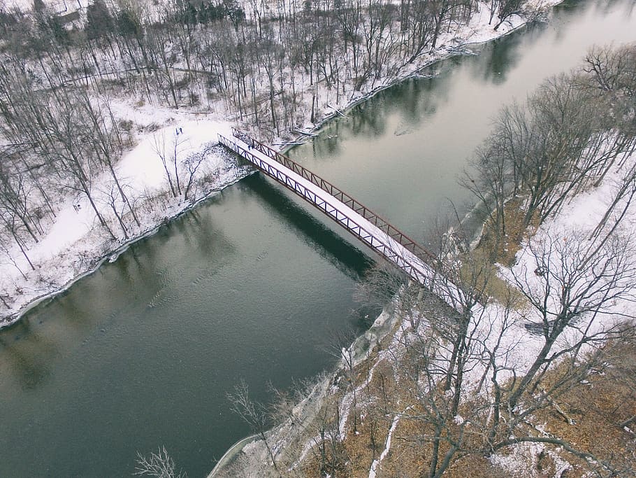 bridge, water, liquid, river, trees, snow, ice, cold, pine, people