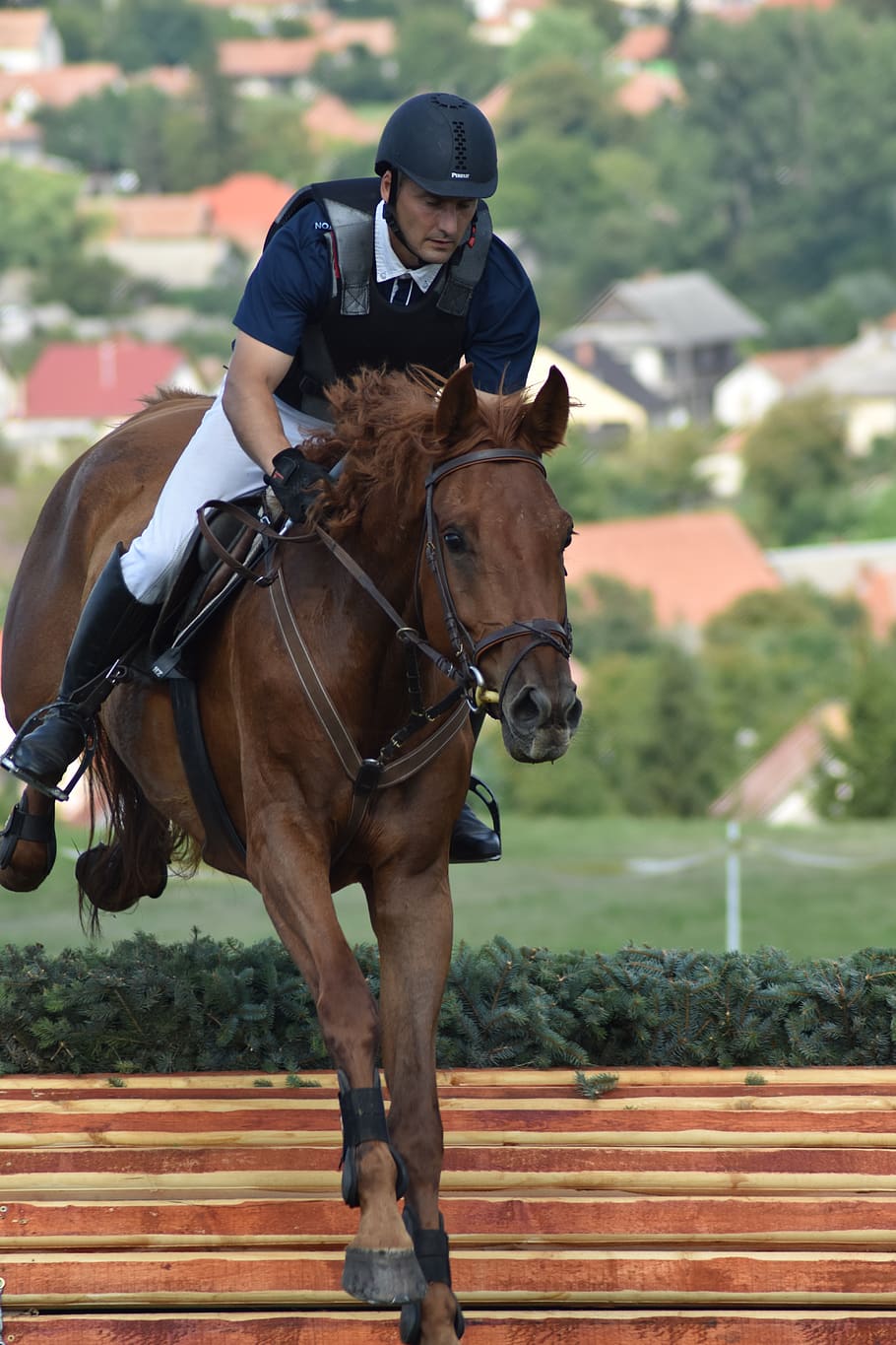 rider, show jumping, competition, ride, barrier, animal, horses, dressage, horse, horseback riding