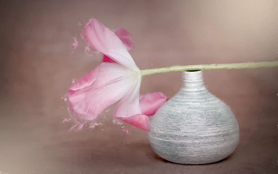 pink, white, petaled flowers, gray, vase, painting, flower, tulip, pink flower, spring flower