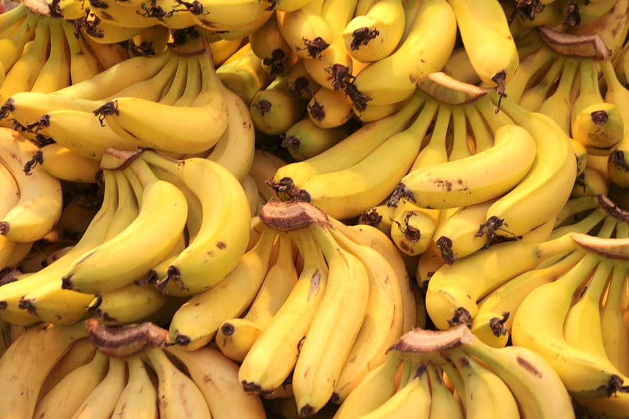 pisang, buah, buah-buahan tropis, makanan, kuning, sehat, pisang semak, vitamin, matang, tropis