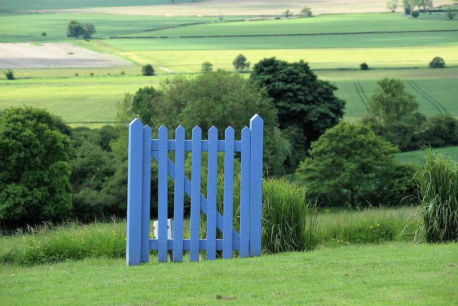 blue, wooden, fence, grass field, daytime, blue gate, english countryside, english, countryside, england