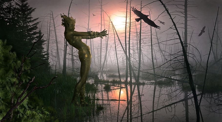 green, woman, swamp, foggy, day, girds, sky, foggy day, forest, evening