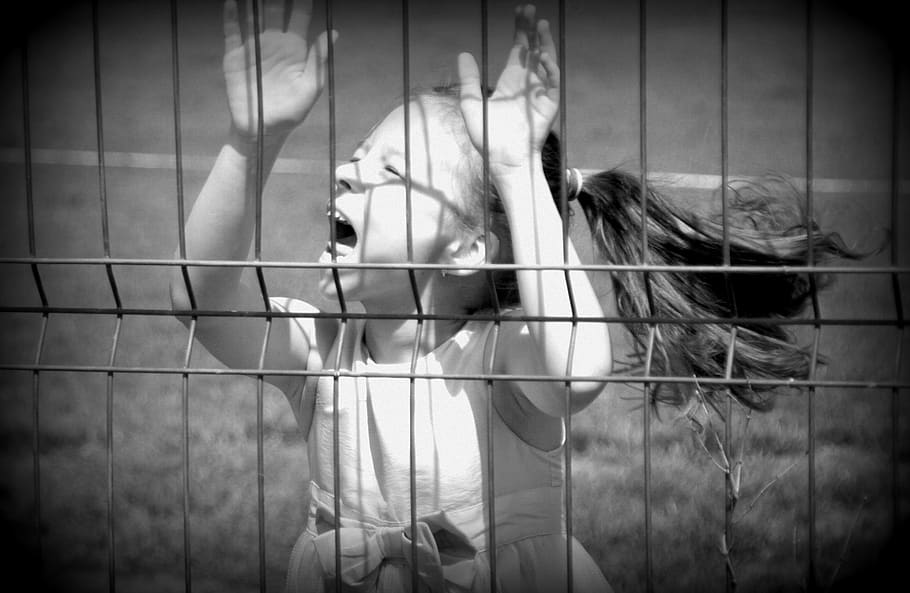 dom, girl, grateful, cage, trapped, one animal, vignette, emotion, people, fear