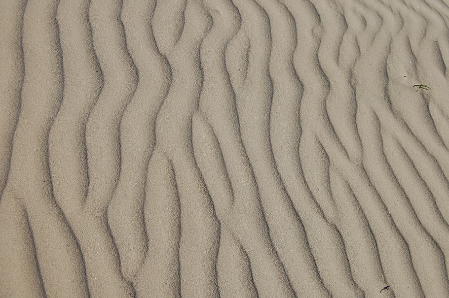 brown sand, sand, ripple, beach, desert, natural, landscape, rippled, dune, shore