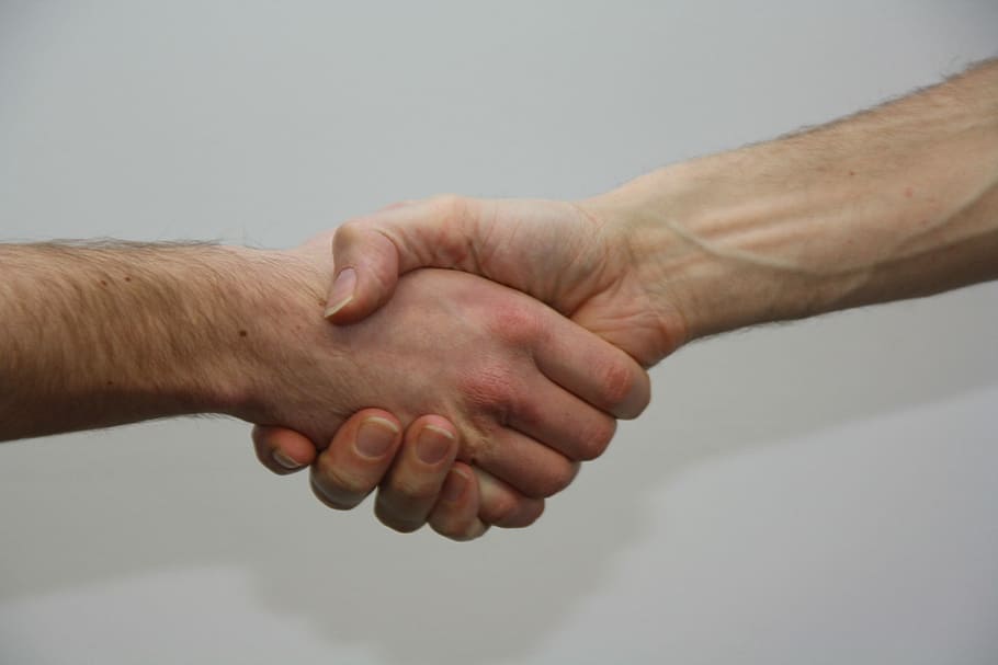 two, person, shaking, Hands, Shake, give, human hand, human body part, togetherness, agreement