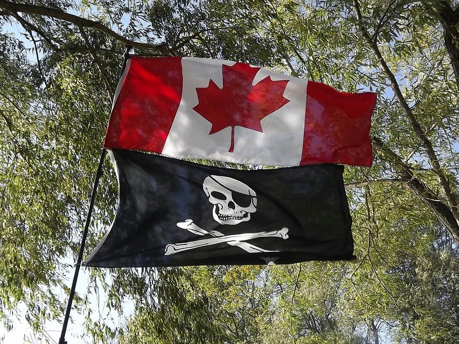 bandera, canadiense, pirata, árbol, patriotismo, planta, vista de ángulo bajo, rojo, día, naturaleza