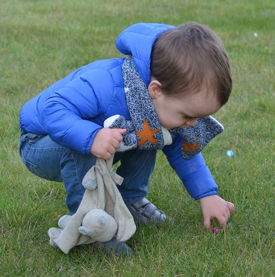 toddler, picking, red, pebbl, grass, Child, Boy, Easter Eggs, Grabs, stuffed animal