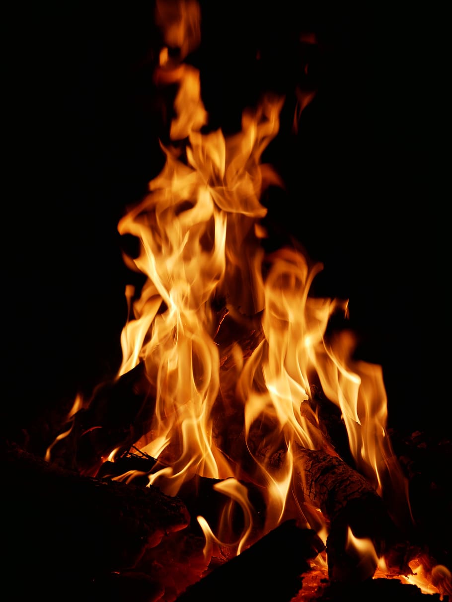 fire, flame, campfire, burning, heat - temperature, fire - natural phenomenon, night, glowing, close-up, orange color