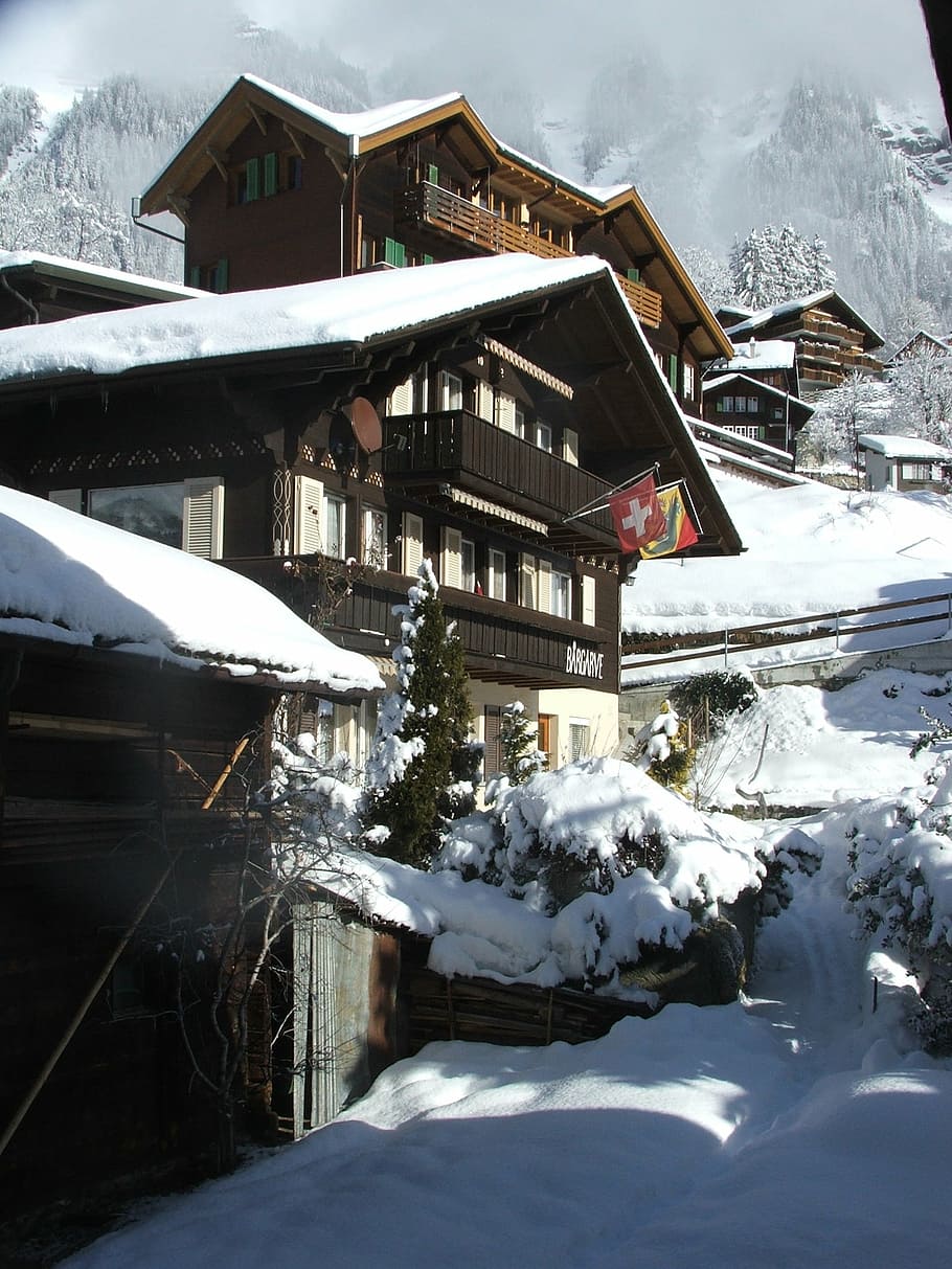 swiss, chalet, tradisional, wengen, alps, musim dingin, alpine, salju, rumah, suhu dingin