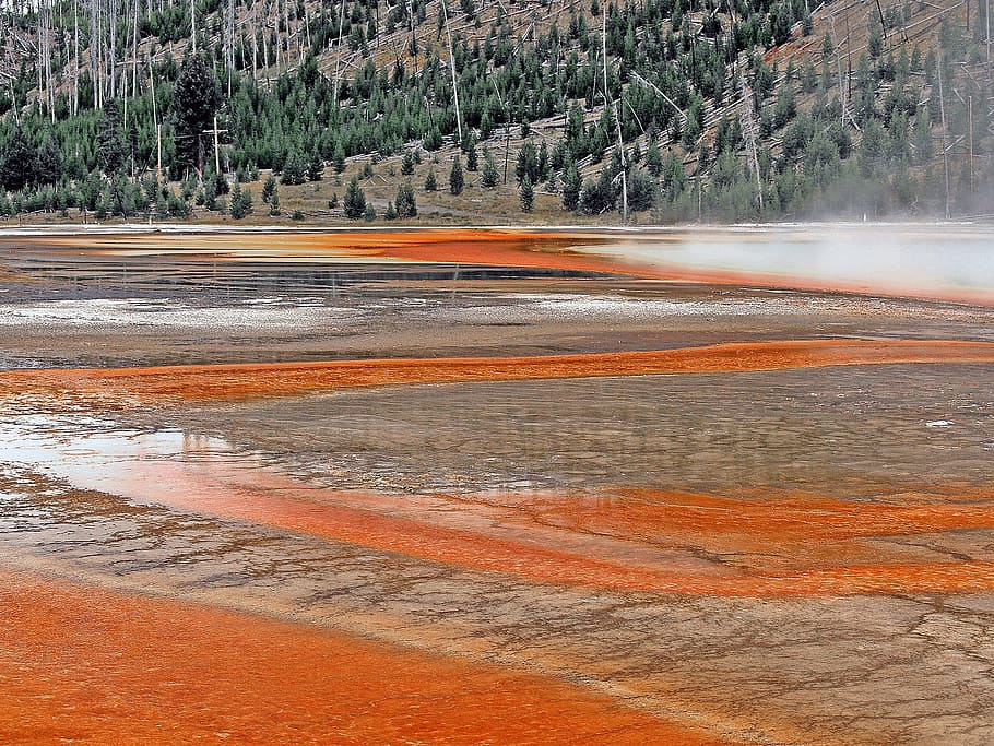 Minerals, Micro Organism, Red, Water, red, water, volcanic, geyser, wyoming, usa, landscape
