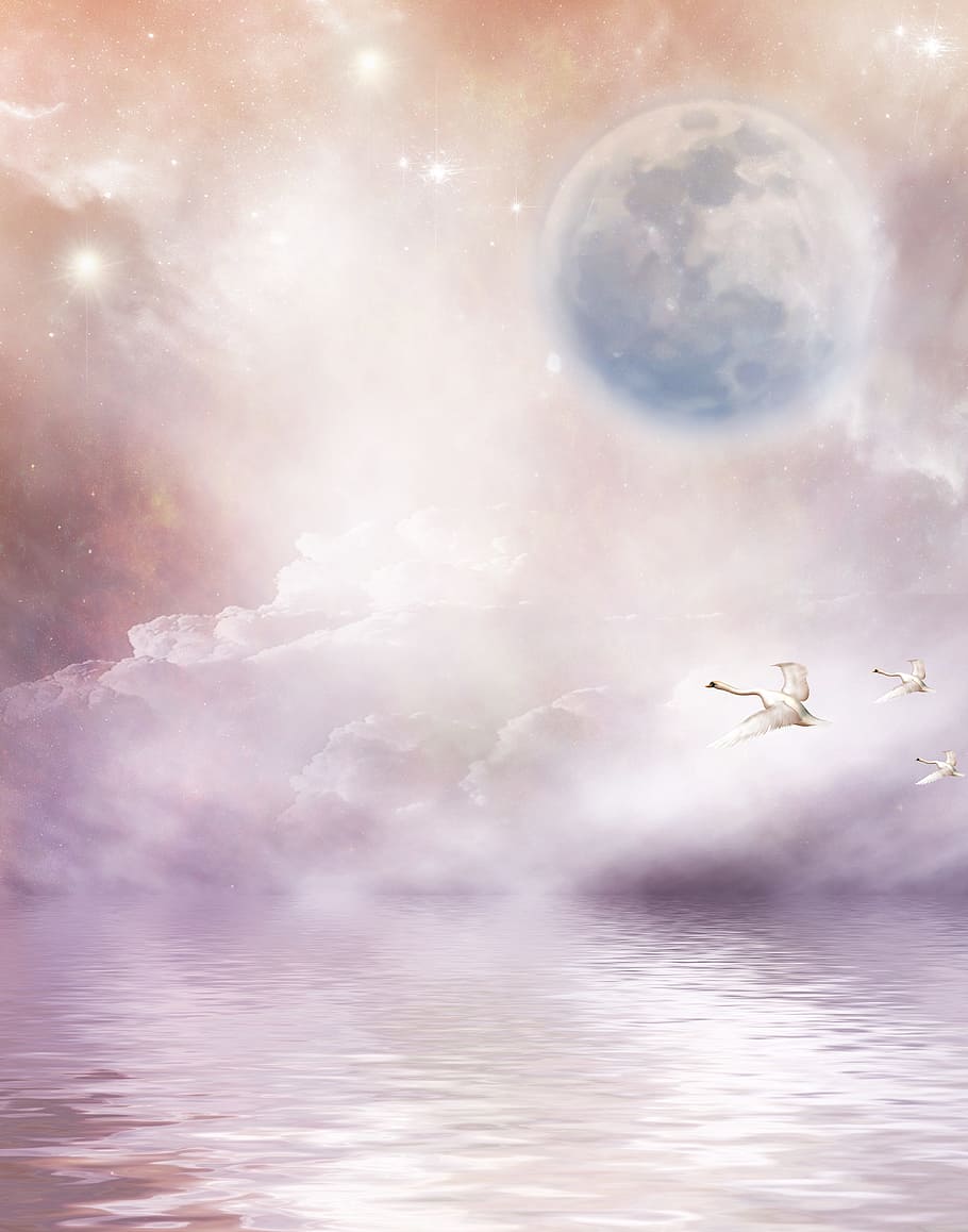 background, stationery, guestbook, sky, moon, swans, star, water, pink, fantasy