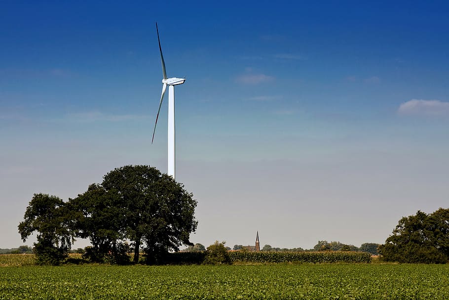white, wind turbine, tree, daytime, wind energy, pinwheel, wind power, environment, current, environmentally friendly