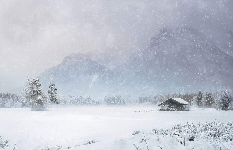 winter, snow, hut, austria, landscape, trees, mountains, nature, idyll, cold