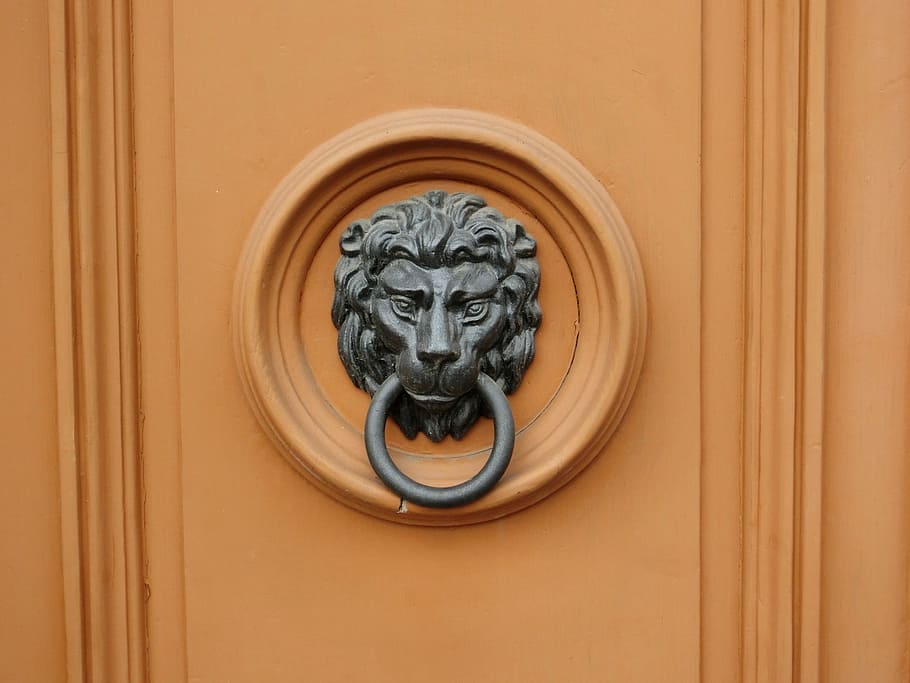 Doorknocker, Call Waiting, Door, Lion, bronze, input, front door, animal representation, lion - feline, door knocker