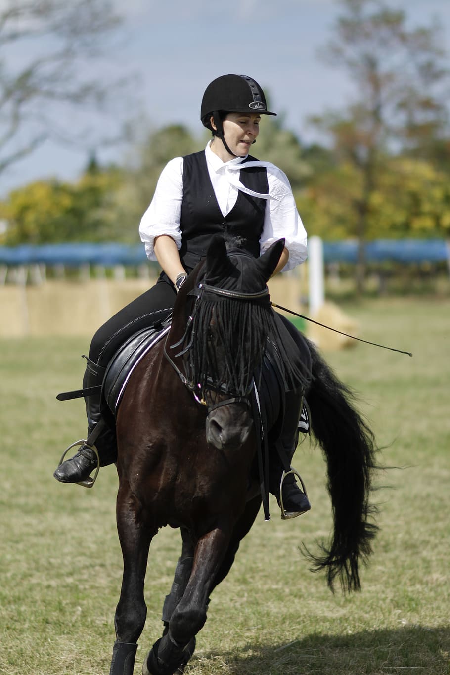 ride, equestrian, dressage, woman, horse, sport, domestic, domestic animals, mammal, vertebrate