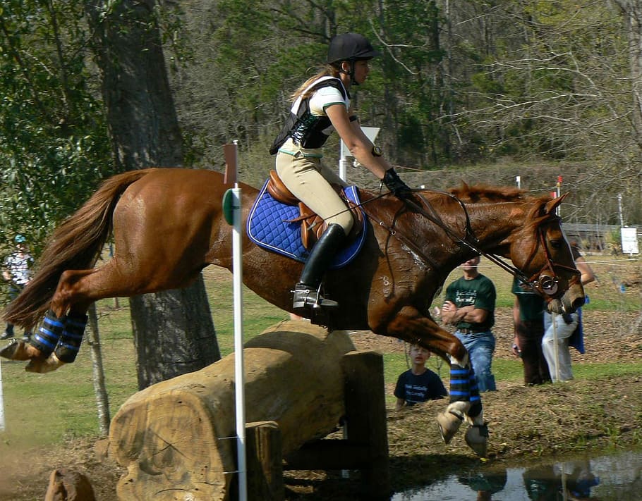 riding, competition, red, hills horse trial, tallahassee, florida, Cross-country, Red Hills, Horse Trial, Tallahassee, Florida