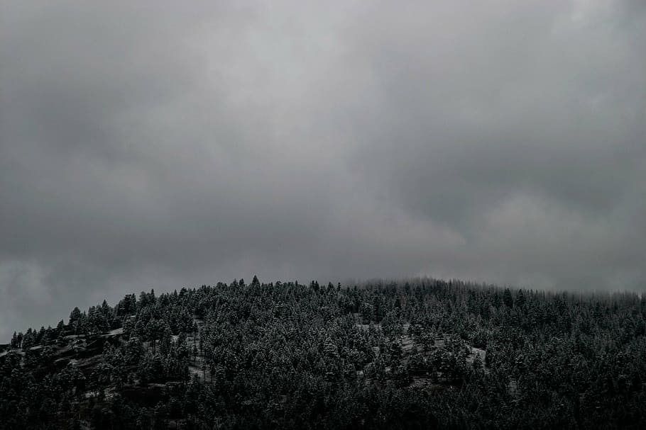 mountain, gray, sky, grayscale, cloudy, daytime, trees, plant, nature, outdoor
