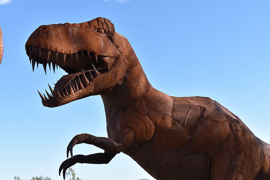 estatua de t-rex, arte, hierro, estatua, metal, figura, dinosaurios, monstruo, animal, temas animales