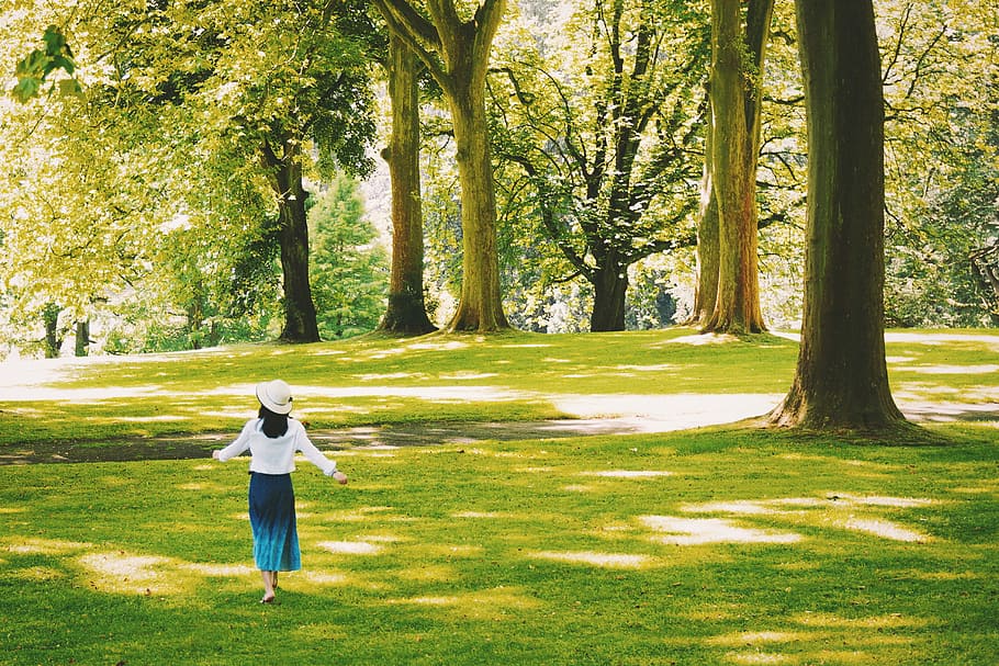 walking, tree-lined, park, Woman, tree, people, girl, nature, outdoors, green Color