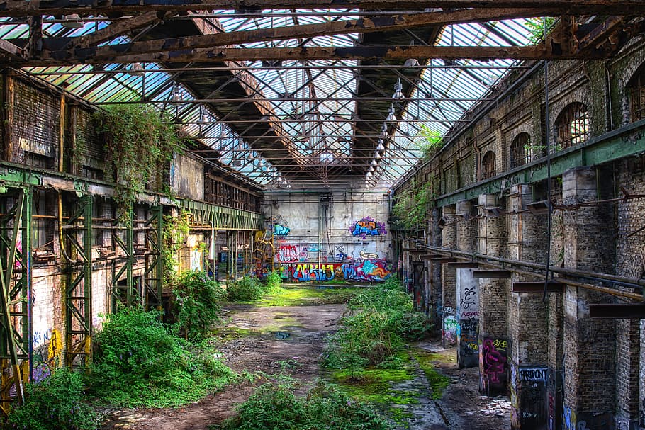 green leafed grass, hall, atmosphere, nature, conquer, past, factory, pforphoto, industrial building, forget