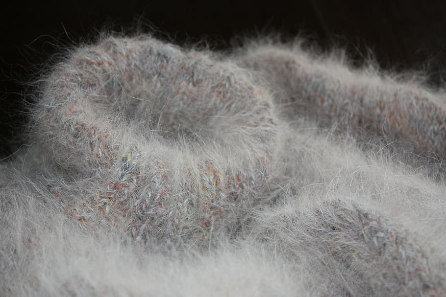 angora, lana, tejido de punto, esponjoso, cuna de gato, suave, cuello, suéter, Foto de estudio, textil