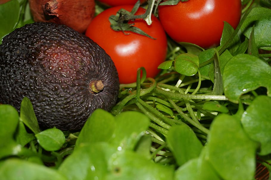 avocado, postel eien, portulak, tomato, eat, salad, food, frisch, vegetables, raw food