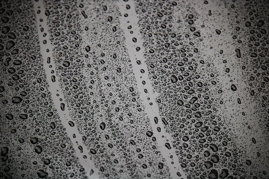 雨の滴, しずく, 濡れた, 水滴, 雨, 水, 金属, 塗料, 自動車, 黒