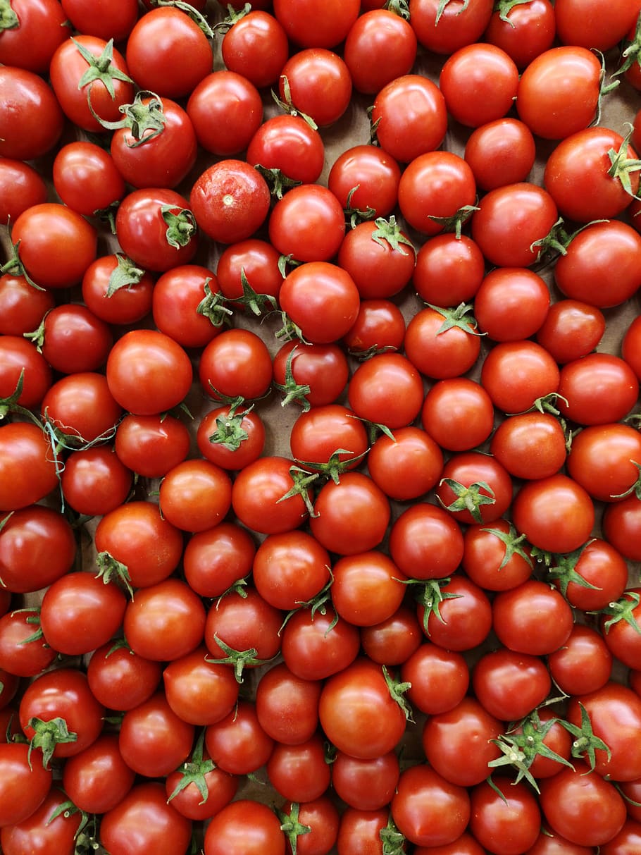tomate, vegetal, fruta, vermelho, cru, vegetariano, materiais, orgânico, comida, saudável