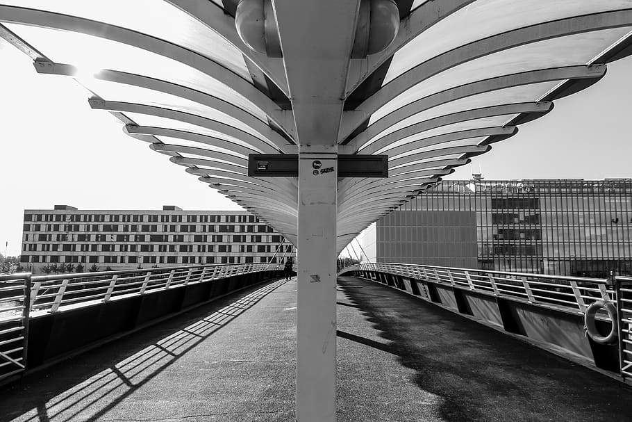 bridge, design, architecture, engineering, structure, unique, urban, city, monochrome, black and white
