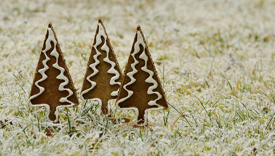 tiga, dekorasi pohon natal coklat-dan-putih, pohon, roti jahe, embun beku, musim dingin, padang rumput, beku, natal, dekorasi natal
