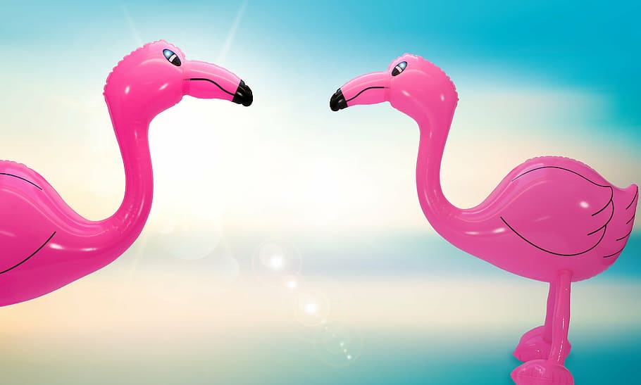 two, flamingo balloon screenshot, summer, summer holiday, holiday, sun, beach, sea, blue sky, water