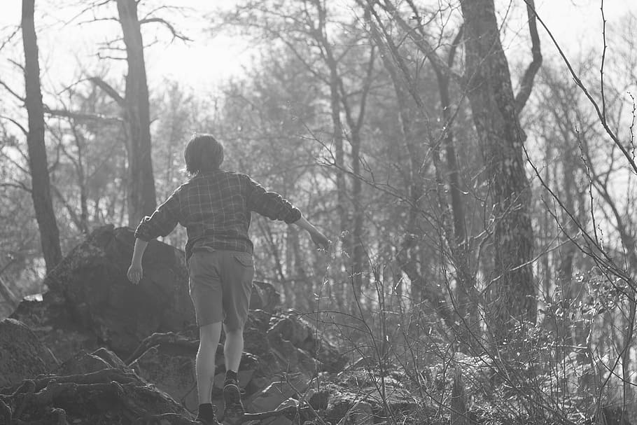 menino, perdido, floresta, preto e branco, árvores, montanha, caminhadas, reflexo de lente, sol, flanela