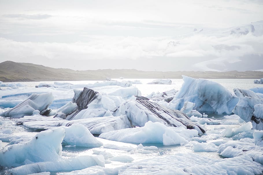 icebergs cerca de tierra, hielo, témpanos, frío, naturaleza, azul, blanco, ártico, antártico, agua