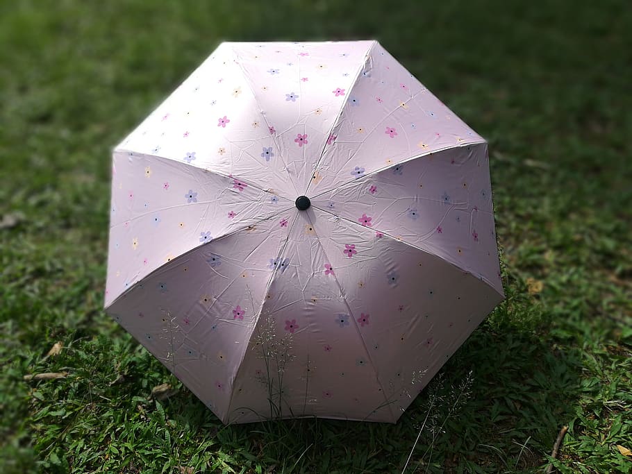 umbrella, pink, rosa, climate, rain, sunshade, meadow, weather, raining, landscape