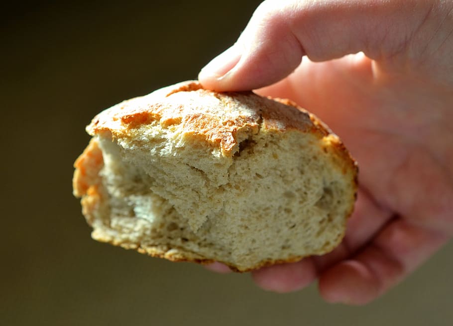 person, holding, slice bread, roll, bread, eat, food, baked, edible, human hand