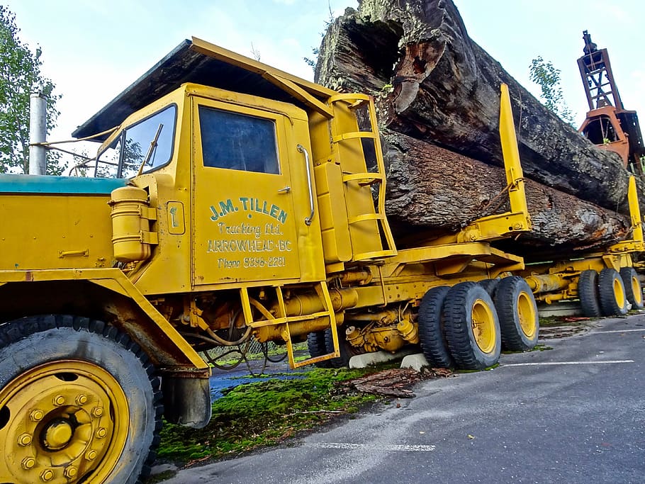 caminhão de log, transporte, reboque, madeira, veículo, exploração madeireira, equipamentos, silvicultura, movendo-se, pilha