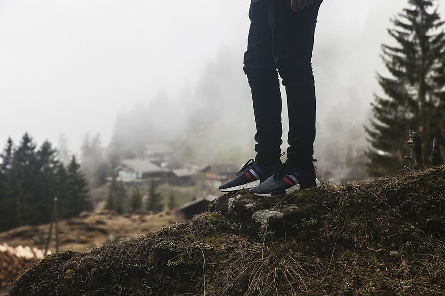 man, standing, pine trees, people, black, shoes, woods, forest, travel, adventure