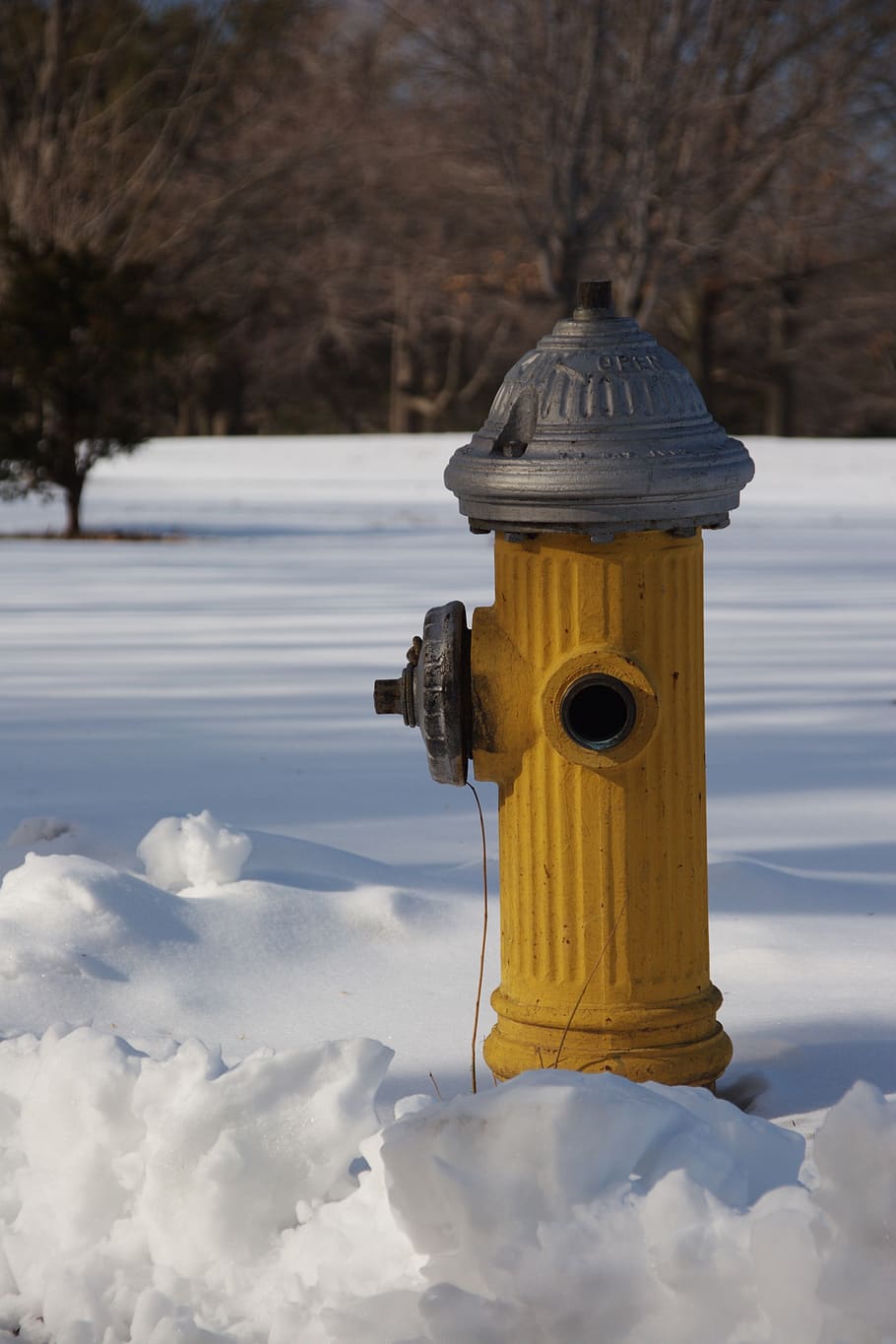 snow, hydrant, yellow, winter, cold temperature, nature, tree, day, field, land