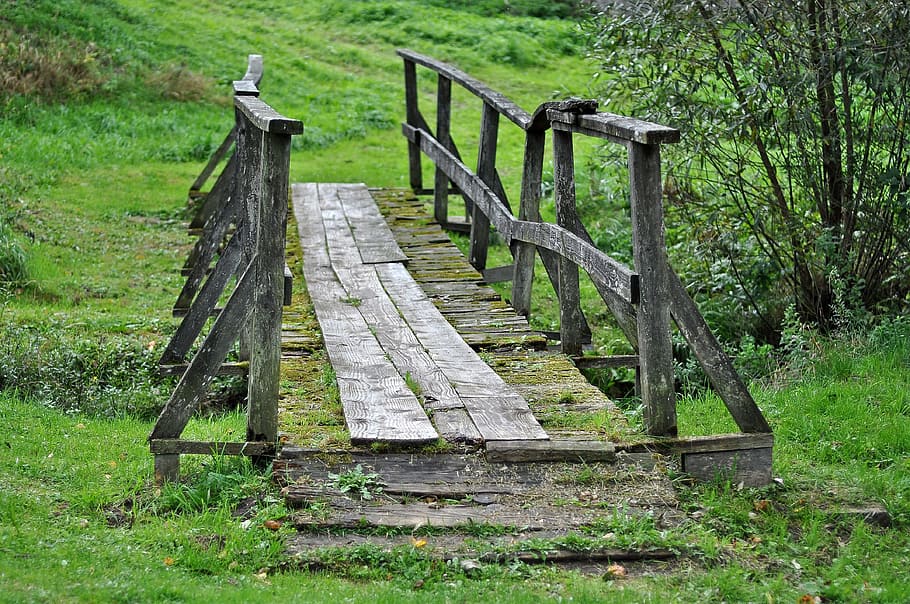 gray, wooden, bridge, covered, moss, daytime, wooden bridge, transition, poland, bieszczady