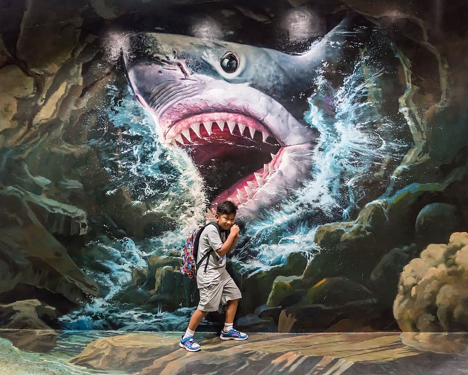 art in paradise, thailand, chiang mai, person, people, boy, painting, shark, sign, tourism