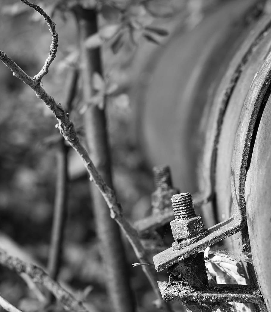 tube, pipe, screw, matrix, forest, branch, black and white, nature, beauty, life
