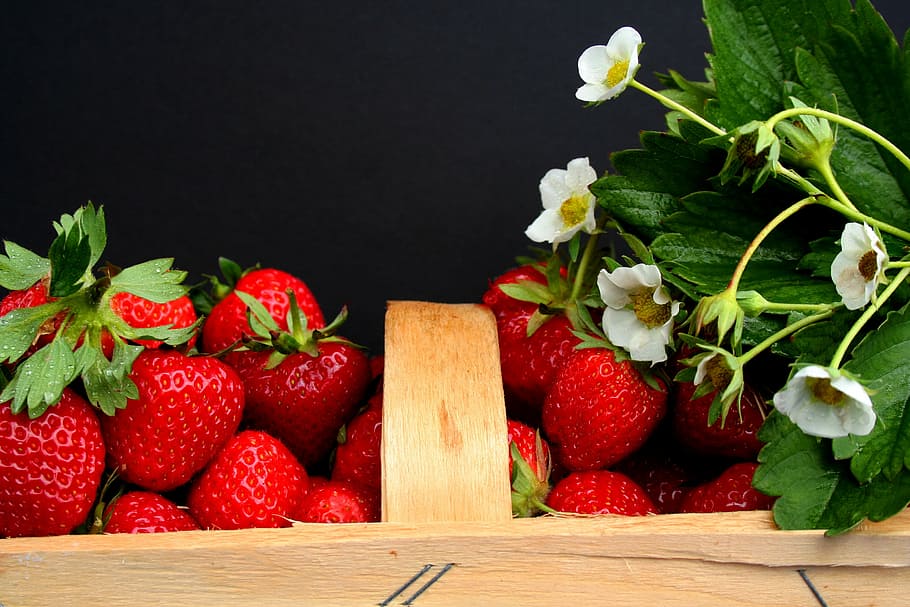 red strawberries, strawberries, harvest time, field, strawberry field, fruit, vitamins, harvested, summer, berries