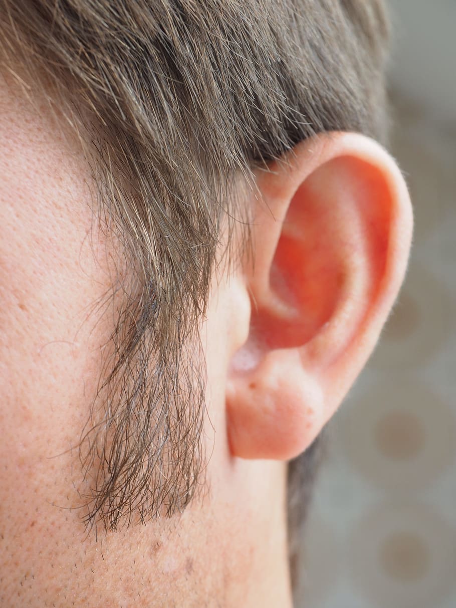 close-up photography, left, man ear, sideburns, ear, hair, person, human, auricle, whiskers