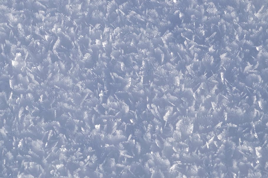 灰色の植物, 雪, フレーク, 冬, 寒さ, 2016年1月, 背景, 抽象, 白い色, フルフレーム